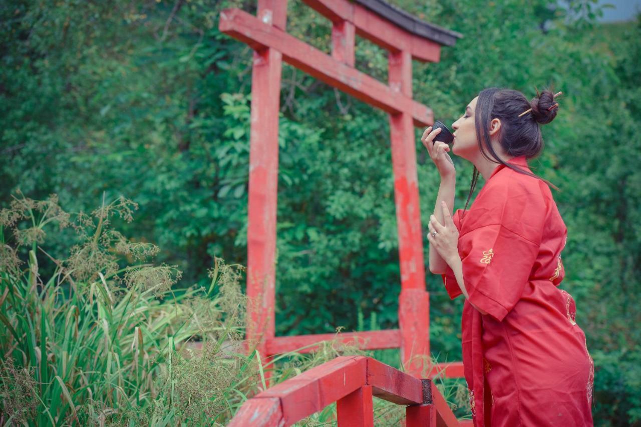 Отель Casa Lily - Japanese Retreat Сигишоара Экстерьер фото