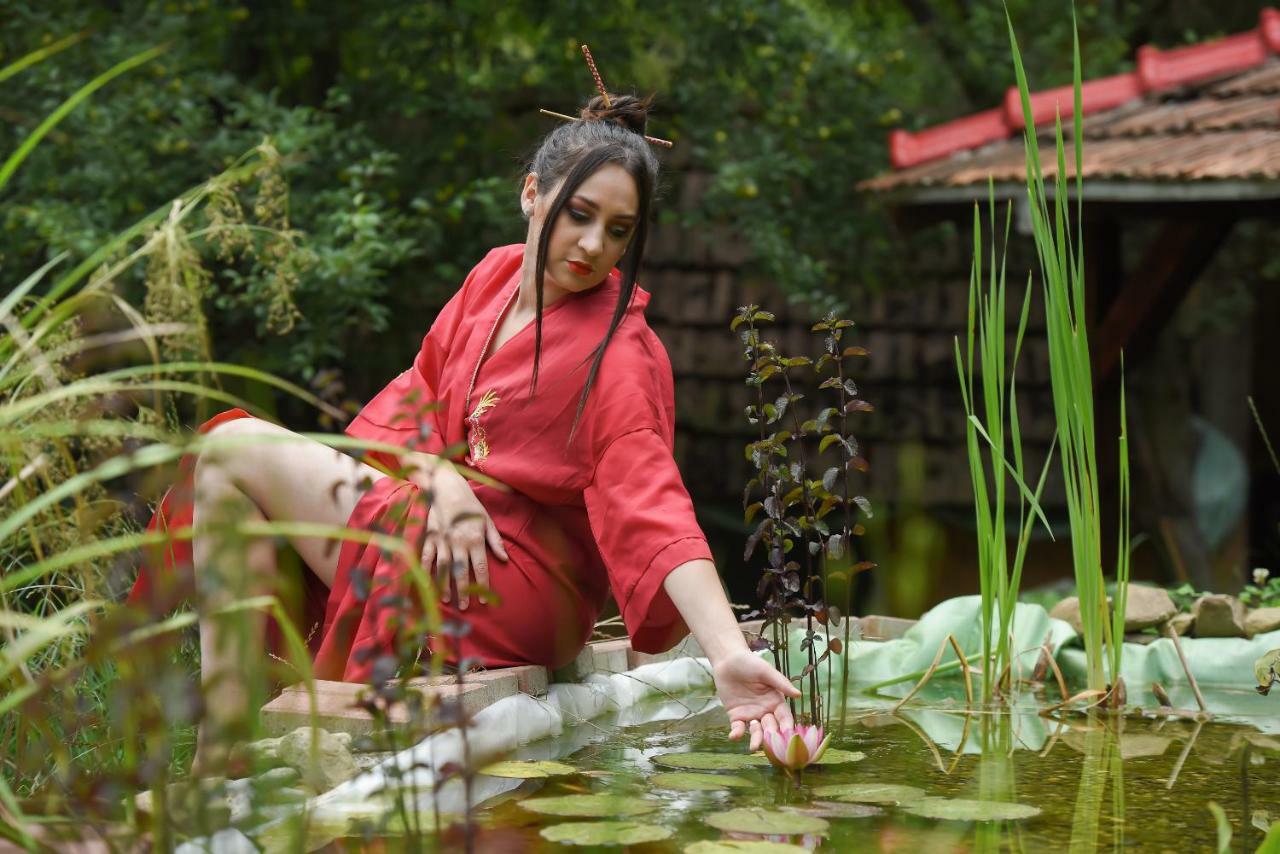 Отель Casa Lily - Japanese Retreat Сигишоара Экстерьер фото